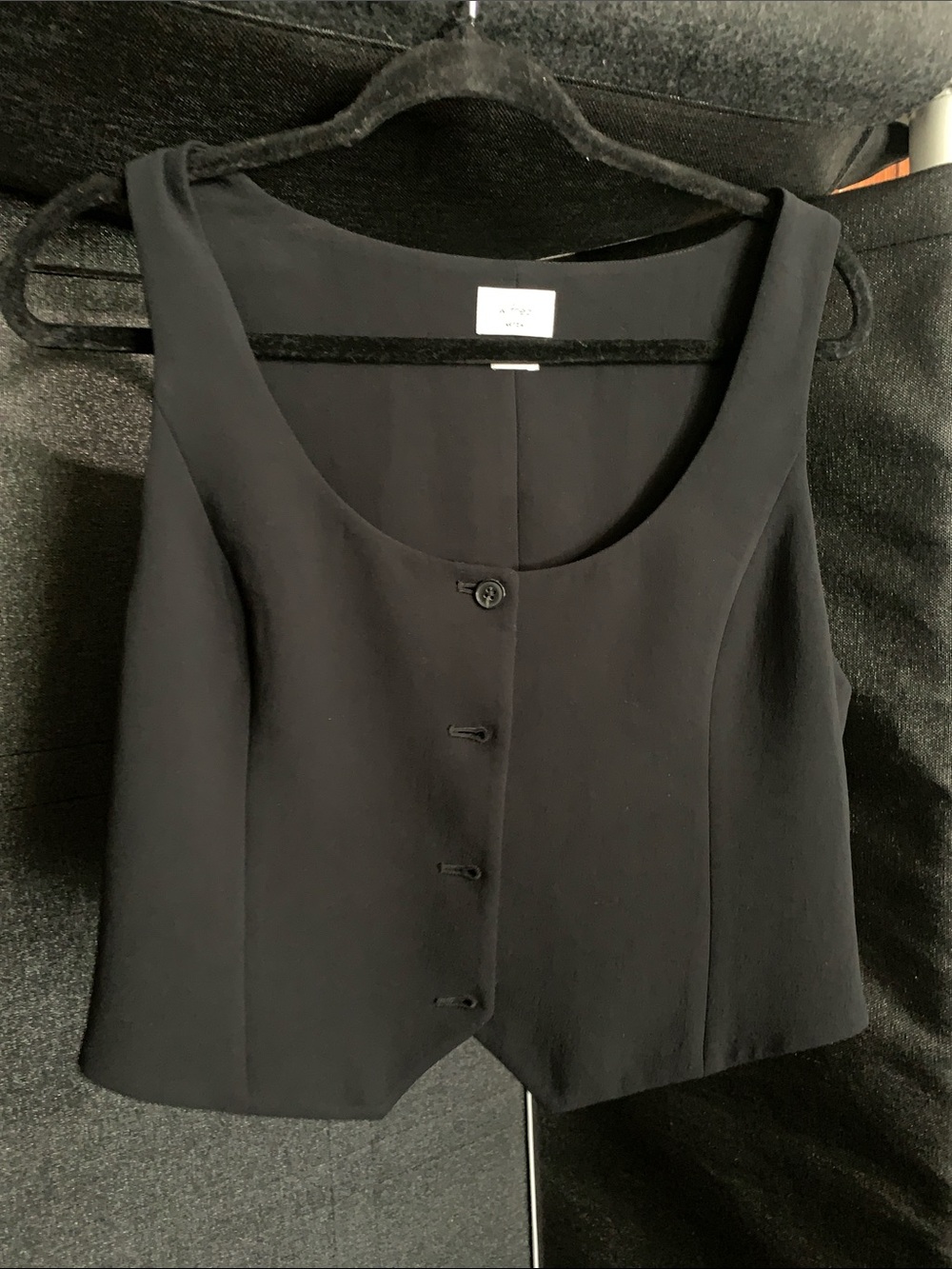 #557 Aritzia Black Button-Front Sleeveless Vest